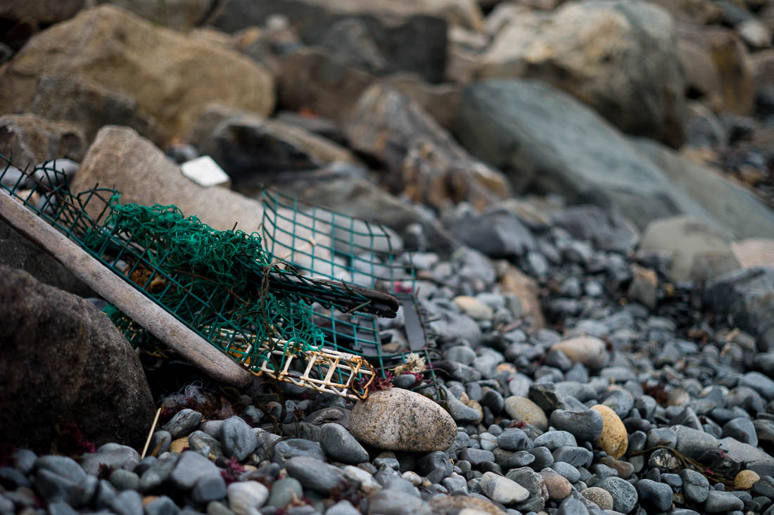 The twisted remains of what may have been a trap for sea creatures