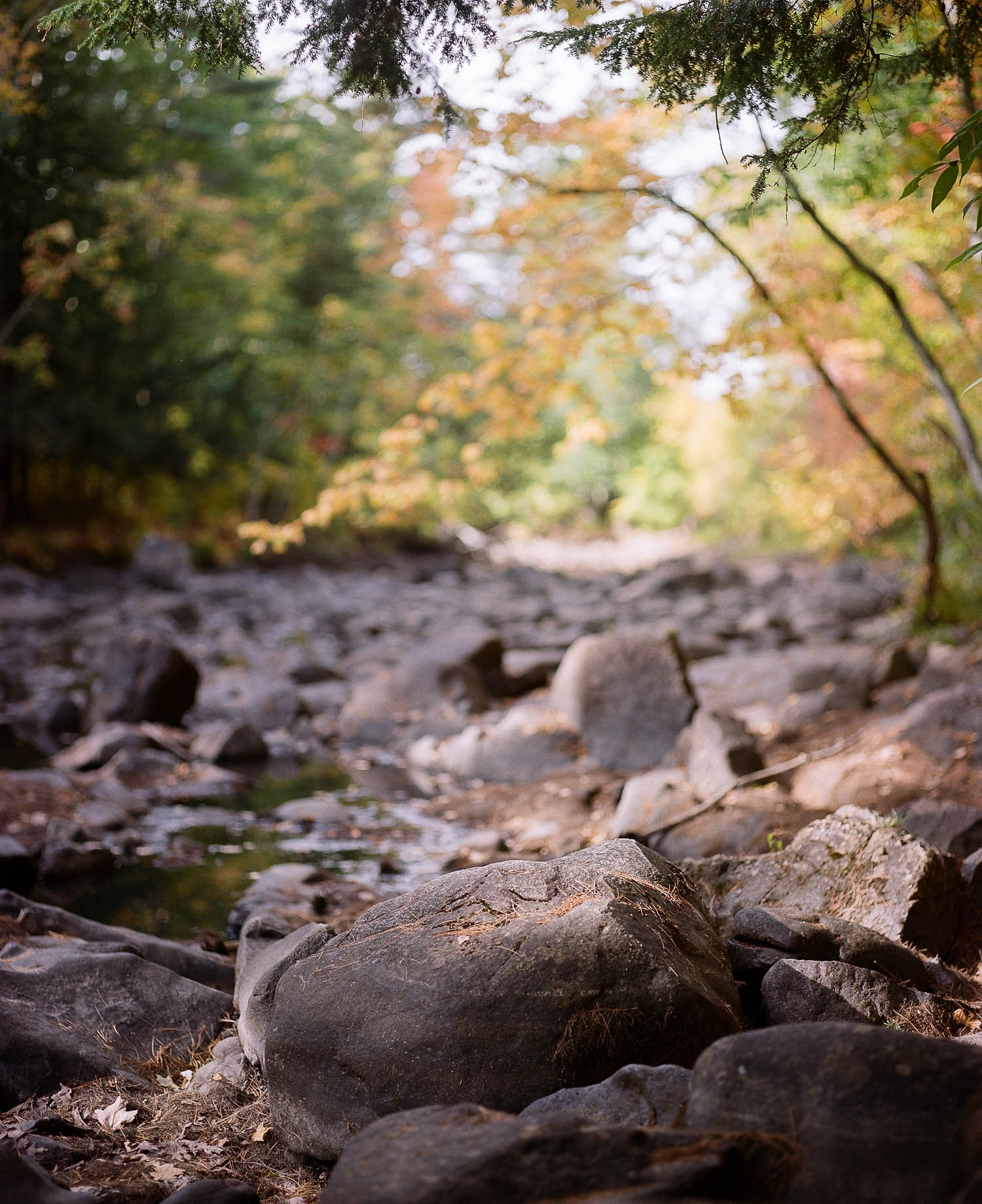 A rocky scene in autumn