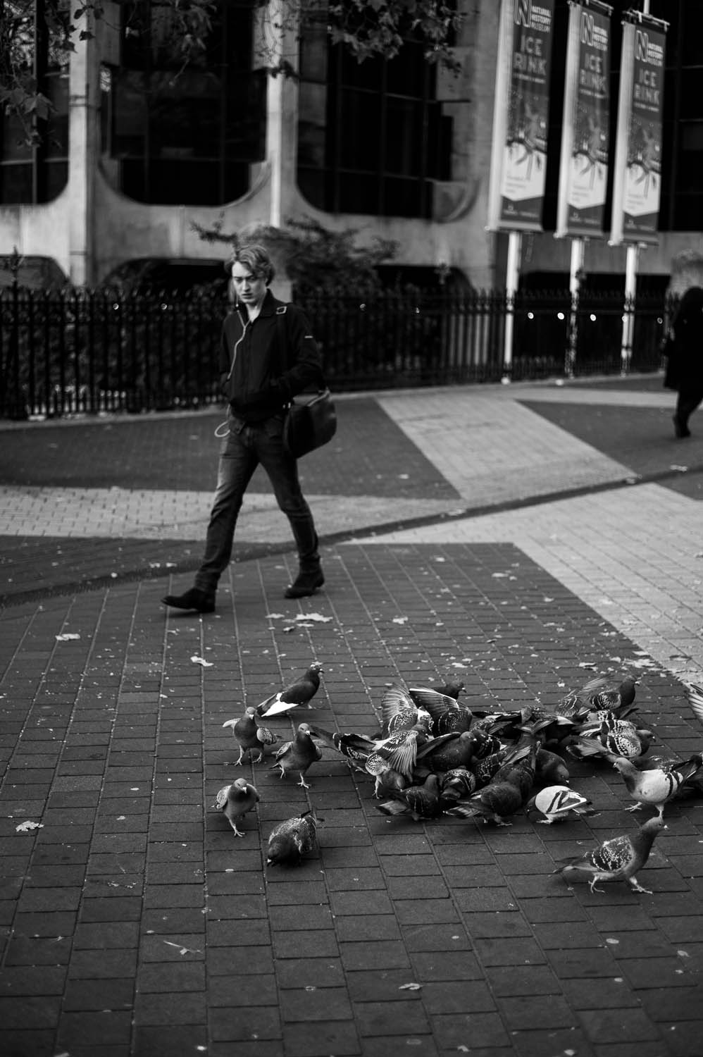 A man walks by a group of pigeons in London