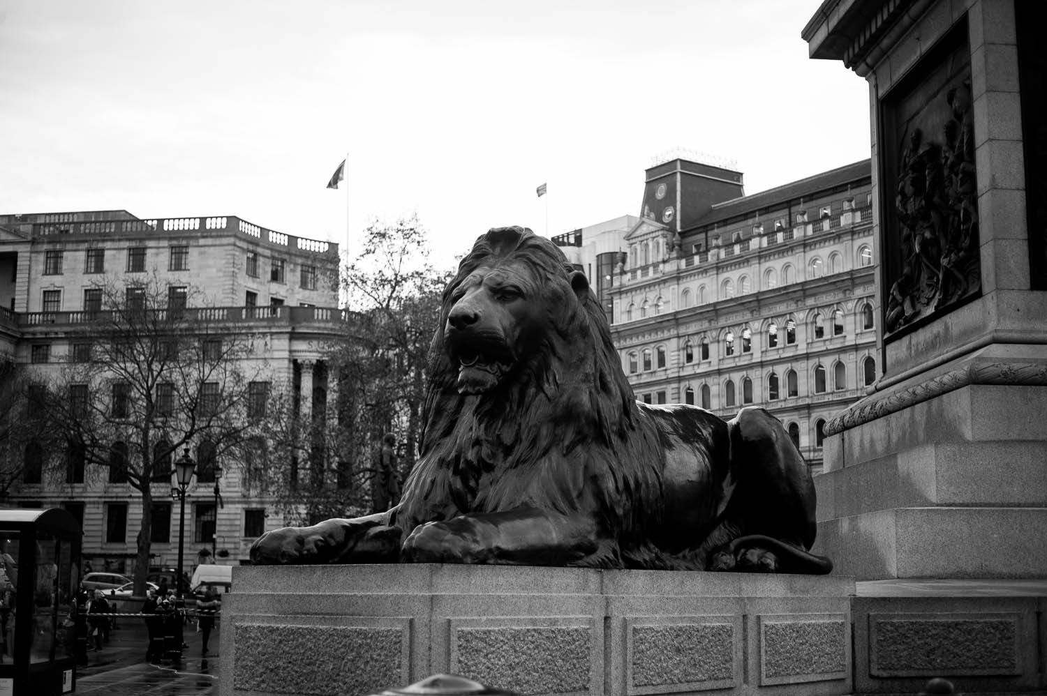 A lion statue in London