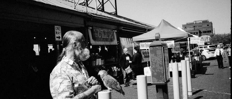 A man with a parrot in front of Pike Place Market in Seattle