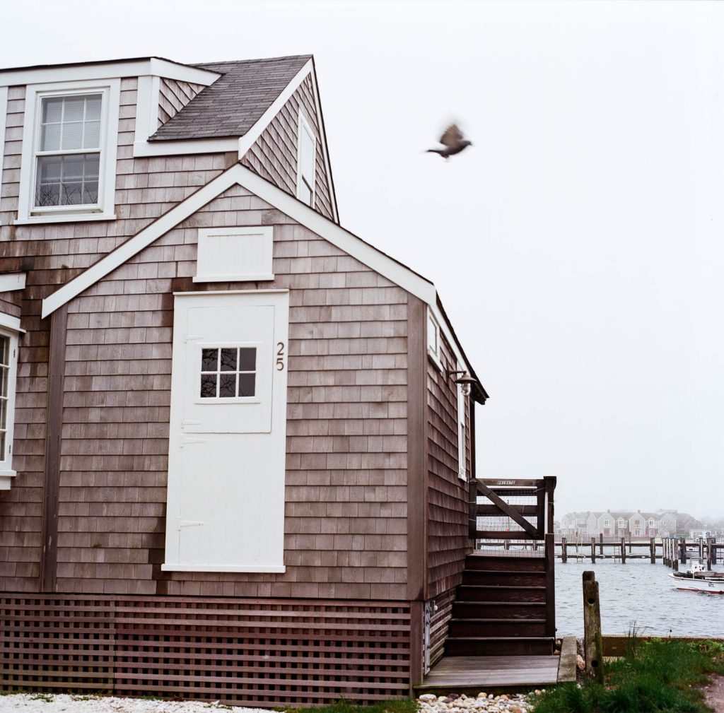 A bird flies over a house in Nantucket, MA