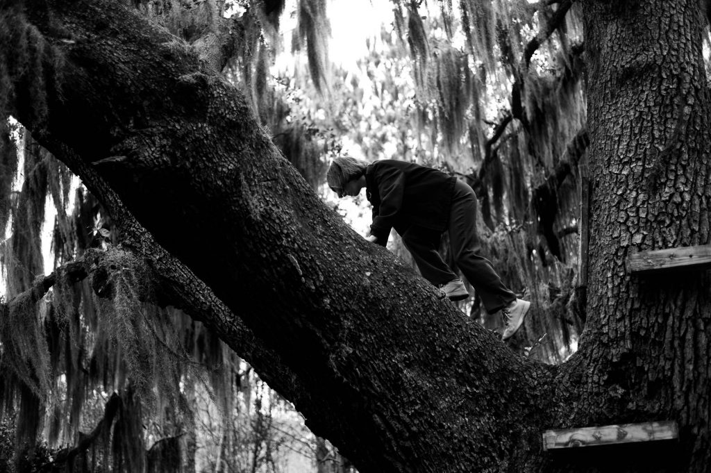 Michele climbing an old oak tree in Savannah, Georgia