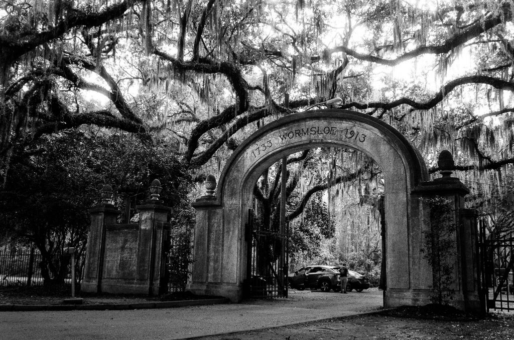 The arches at Wormsloe Historic Site