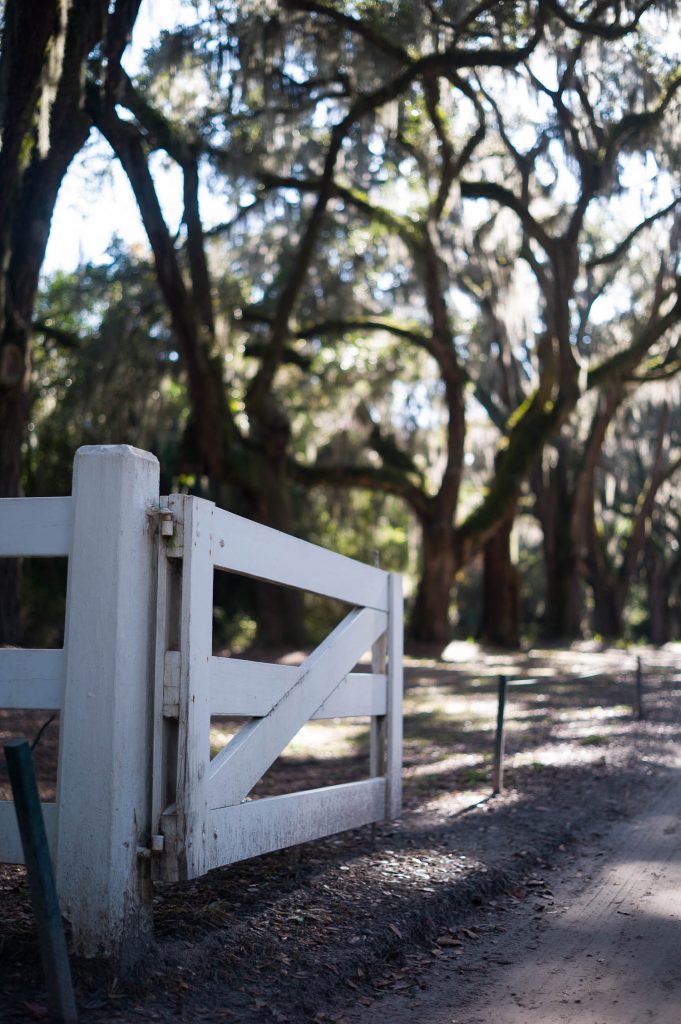 A white gate at Wormsloe Historic Site