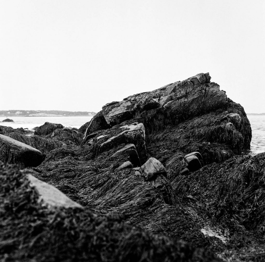 A rocky beach on Peaks Island, Maine